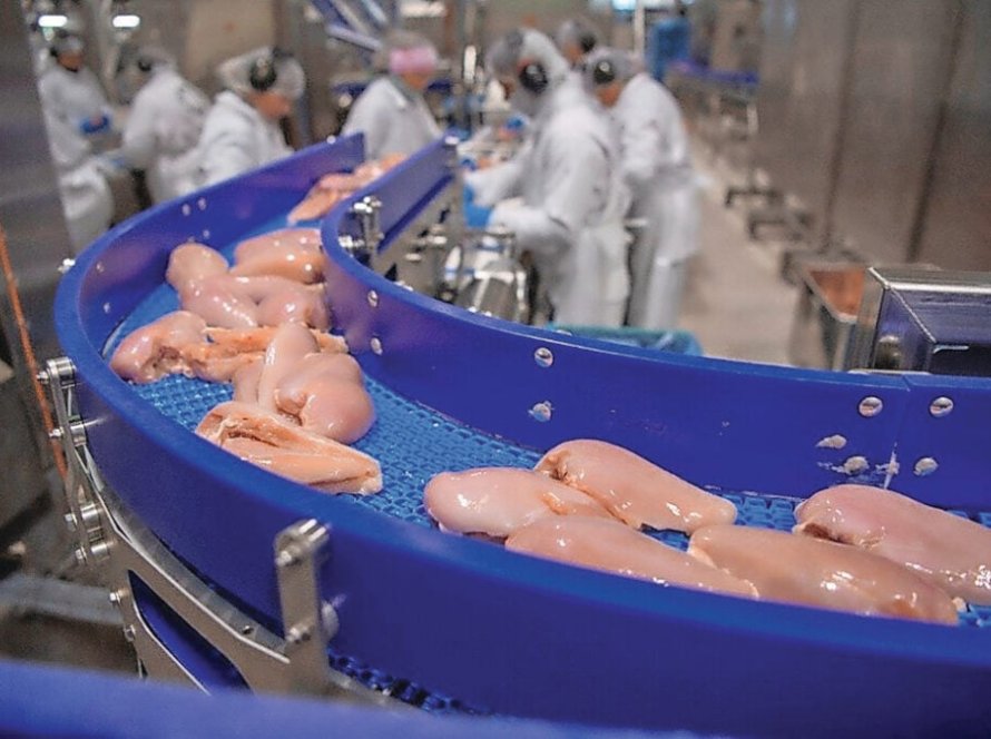 Conflito no Oriente Médio interrompe cadeias de suprimento e pressiona exportações de frango no mundo