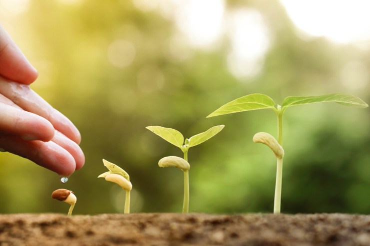 Crédito rural empresarial cresce 7% no início do Plano Safra 2025/2026