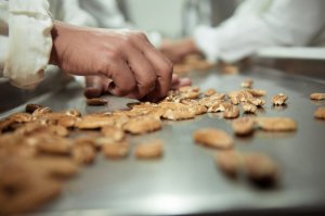 Divinut leva para a Expodireto perspectivas de super safra de noz-pecã e cenário da exportação