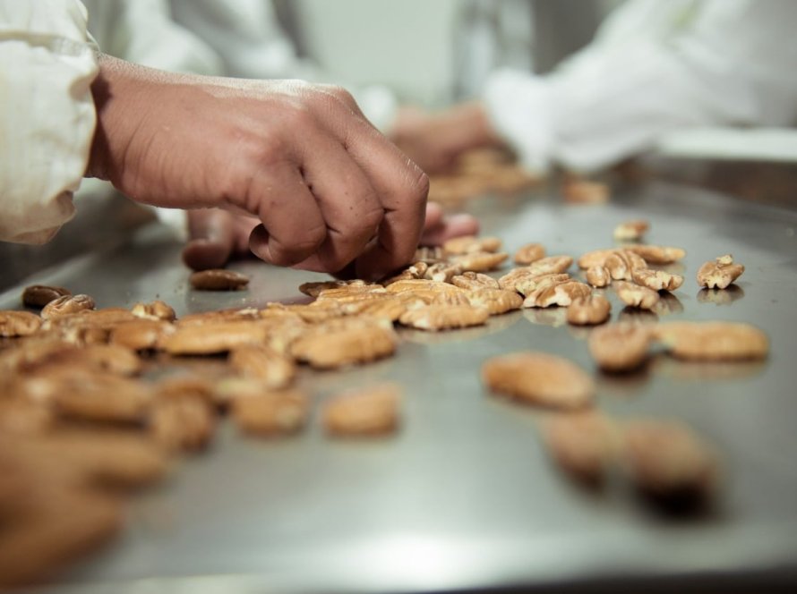 Divinut leva para a Expodireto perspectivas de super safra de noz-pecã e cenário da exportação