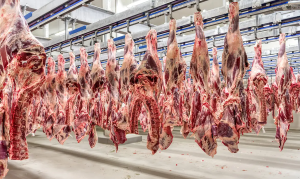 Exportação de carne bovina com osso ao Chile reforça a credibilidade sanitária do Estado