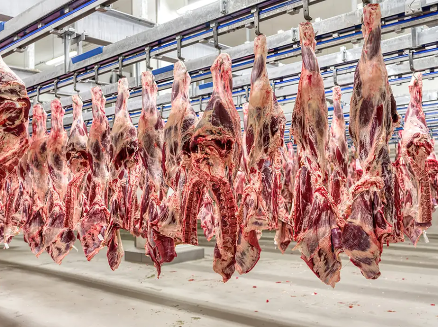 Exportação de carne bovina com osso ao Chile reforça a credibilidade sanitária do Estado
