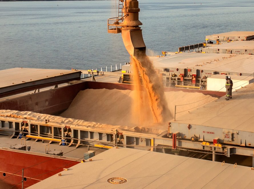 Prêmios da soja no Brasil perdem ao menos 20 pontos com suspensão das exportações para a China pela Cargill