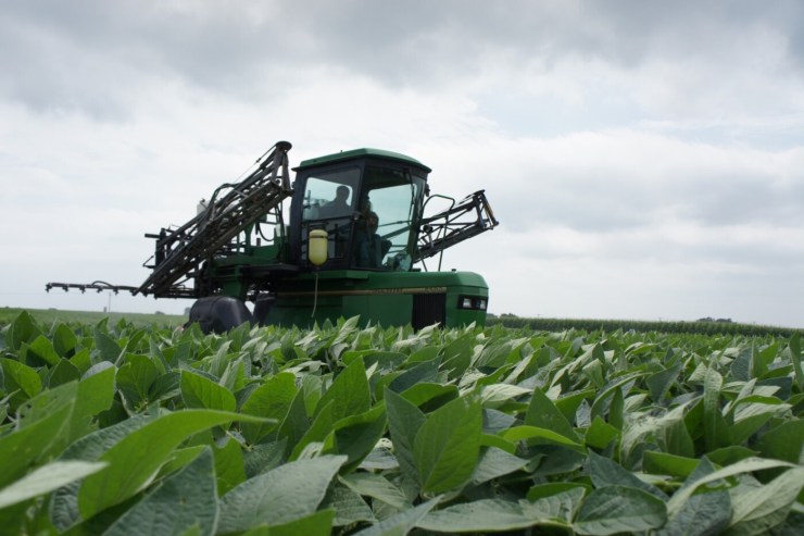 Relação de troca da soja melhora com recuo do MAP e do KCl