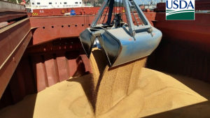 USDA: Vendas semanais de soja e farelo para exportação dos EUA superam expectativas