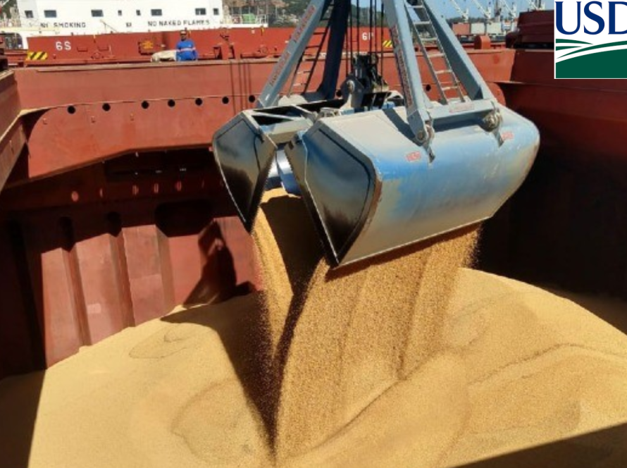 USDA: Vendas semanais de soja e farelo para exportação dos EUA superam expectativas