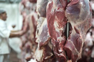 Com 35% da produção voltada à exportação, carne bovina entra em ciclo de valorização
