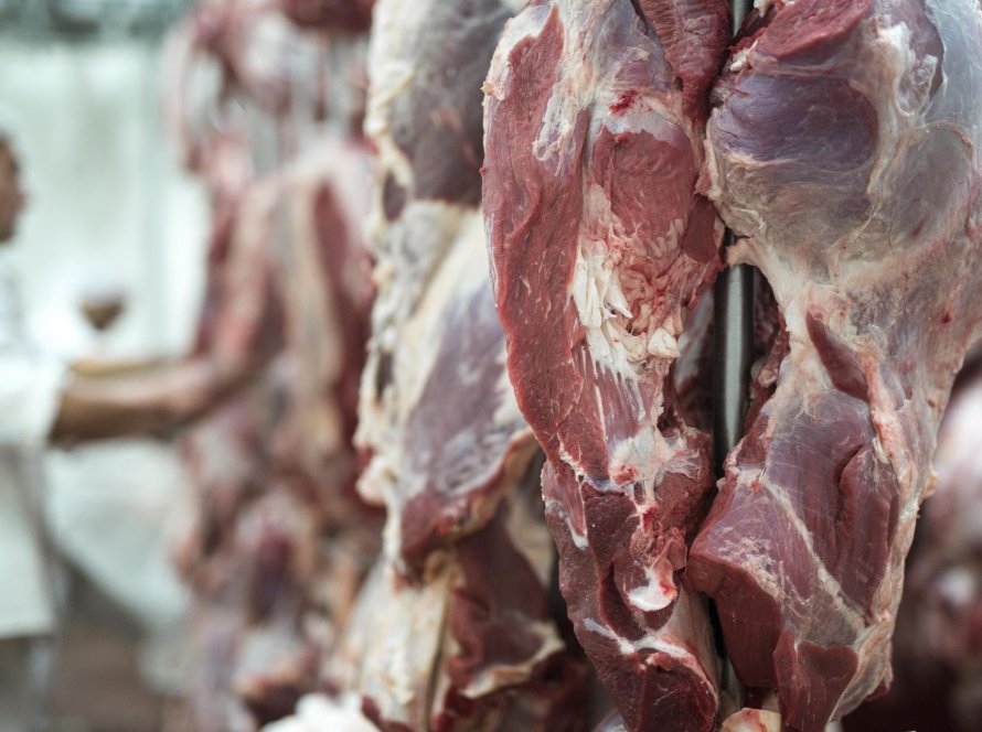 Com 35% da produção voltada à exportação, carne bovina entra em ciclo de valorização