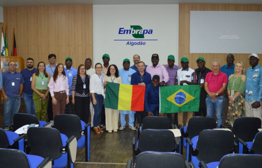 Comitiva do Mali conhece experiência brasileira na produção de algodão