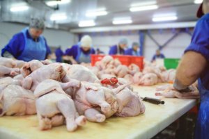 Exportações de frango mantêm receita firme, mas volume recua no fim de abril