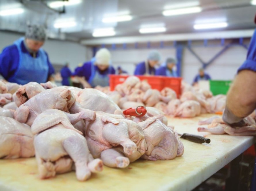 Exportações de frango mantêm receita firme, mas volume recua no fim de abril