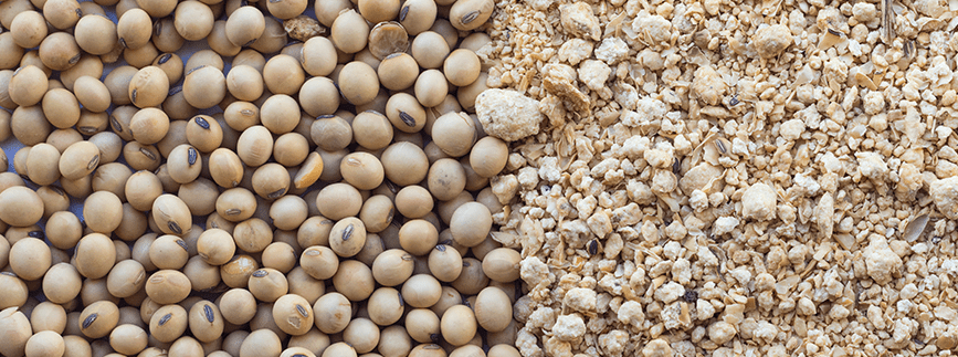 Farelo sobe mais de 1% em Chicago e ajuda no suporte à soja em grão nesta 6ª feira