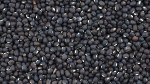Feijão-mungo-preto é a nova bola da vez para as exportações brasileiras?