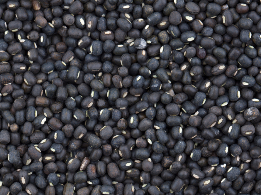 Feijão-mungo-preto é a nova bola da vez para as exportações brasileiras?