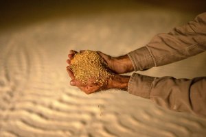 Holanda rejeita cargas de farelo de soja da Argentina por material genético não aprovado; BR em alerta