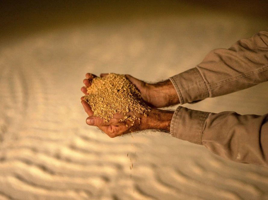 Holanda rejeita cargas de farelo de soja da Argentina por material genético não aprovado; BR em alerta