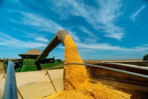 Mato Grosso se consolida como maior produtor de etanol de milho do Brasil