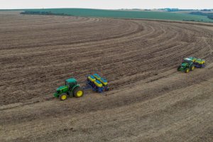 Mato Grosso termina semeadura do milho safrinha em 7,4 milhões de hectares