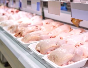Mesmo com crise no Oriente Médio, exportações de carne de frango crescem 6% em março