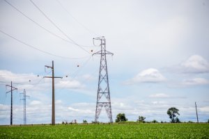 Produtores rurais do Mato Grosso cobram melhorias no fornecimento de energia elétrica