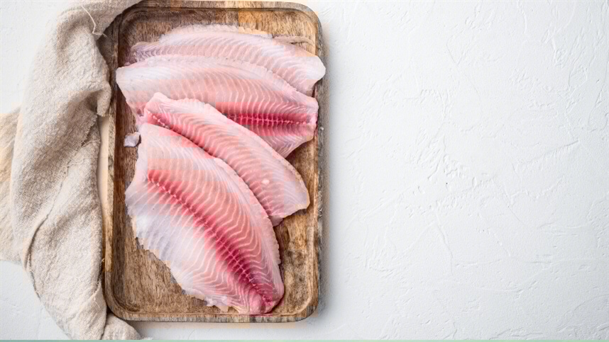 TILÁPIA: receita de exportações aumenta