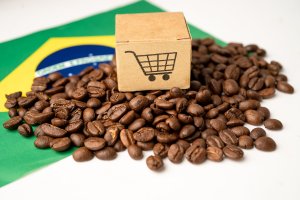 Brasil exporta uma quantidade pequena, mas recorde, de café verde "naturalmente" descafeinado