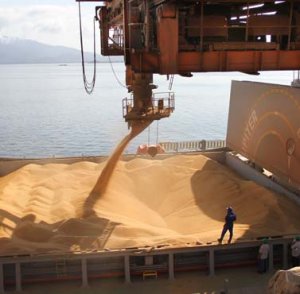 CAE aprova fundo para ampliar crédito às exportações brasileiras