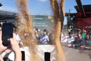 Colheita da soja atinge 77% em Santa Rosa com produtividade estimada em 2.350 kg por hectare
