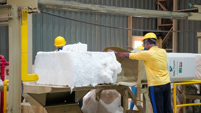 Em meio às tensões geopolíticas, Anea aponta que algodão brasileiro registra novo recorde de exportações em abril