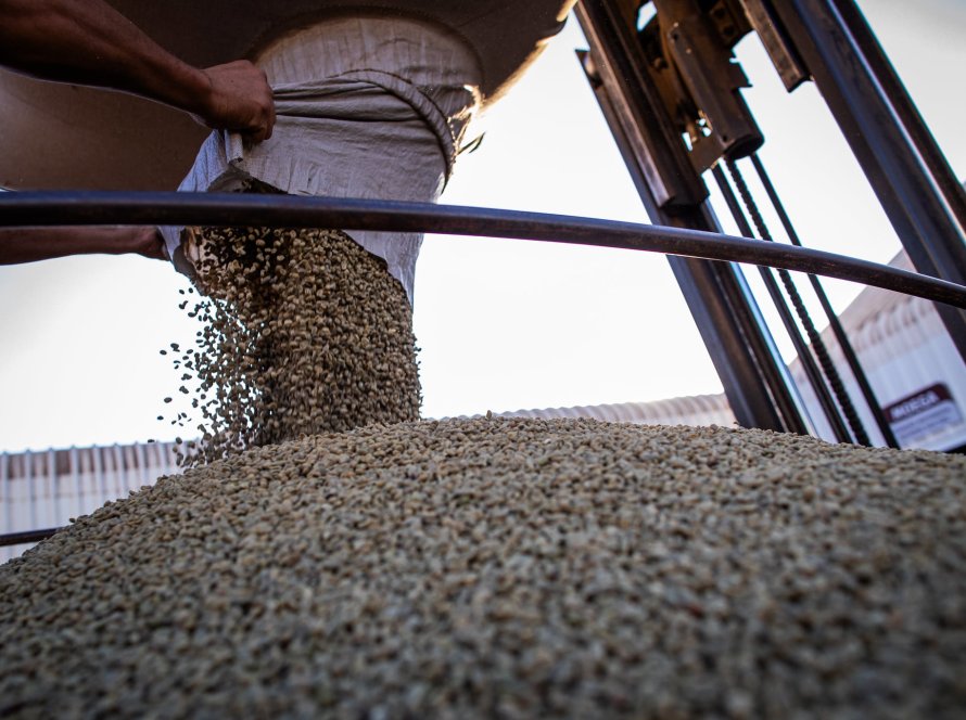 Exportações de café do Brasil em 2026/27 serão recordes, projeta diretor da Eisa