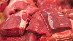 Exportações de carne bovina mantêm ritmo forte na segunda semana de maio