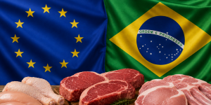 Ministro da Agricultura afirma que exportações brasileiras de proteínas para a Europa não serão interrompidas