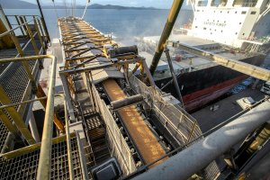 Agroconsult vê queda de 11% na exportação de milho do Brasil em 25/26