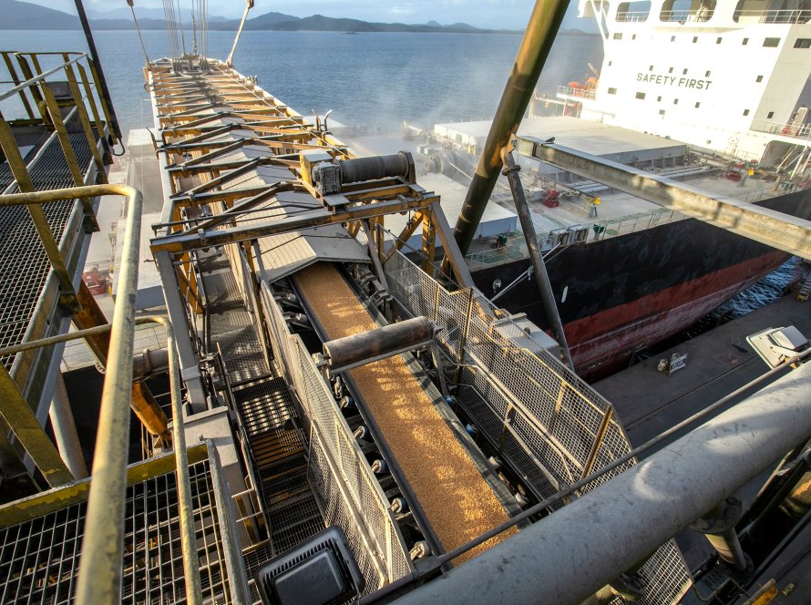 Agroconsult vê queda de 11% na exportação de milho do Brasil em 25/26