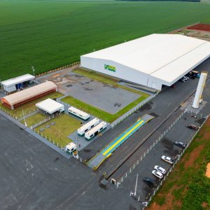 Boa Safra vê procura por soja de ciclo longo diante de El Niño em 2026/27