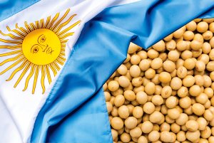 Colheita de soja e plantio de trigo na Argentina são afetados pelo tempo chuvoso