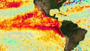 El Niño: culturas de inverno com mais risco de perdas e soja 26/27 demandando manejo estratégico