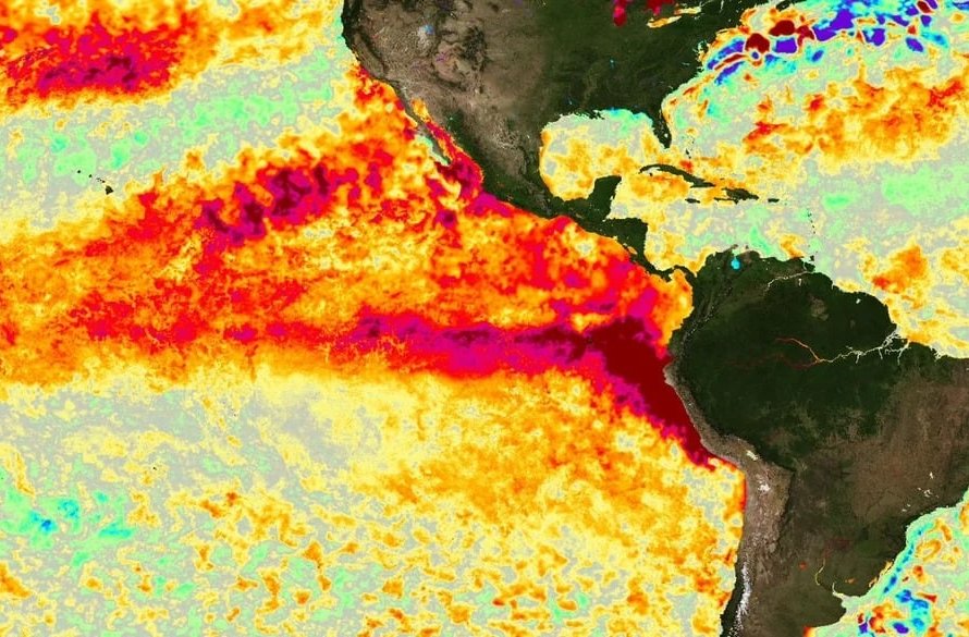 El Niño: culturas de inverno com mais risco de perdas e soja 26/27 demandando manejo estratégico