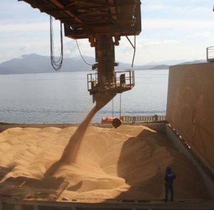 Exportação de soja do Brasil em junho fica abaixo do previsto devido à chuva, aponta Anec