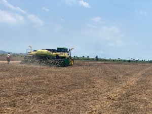 Fazenda de cooperado da Castrolanda alcança 76 sacas por hectare na soja do Tocantins