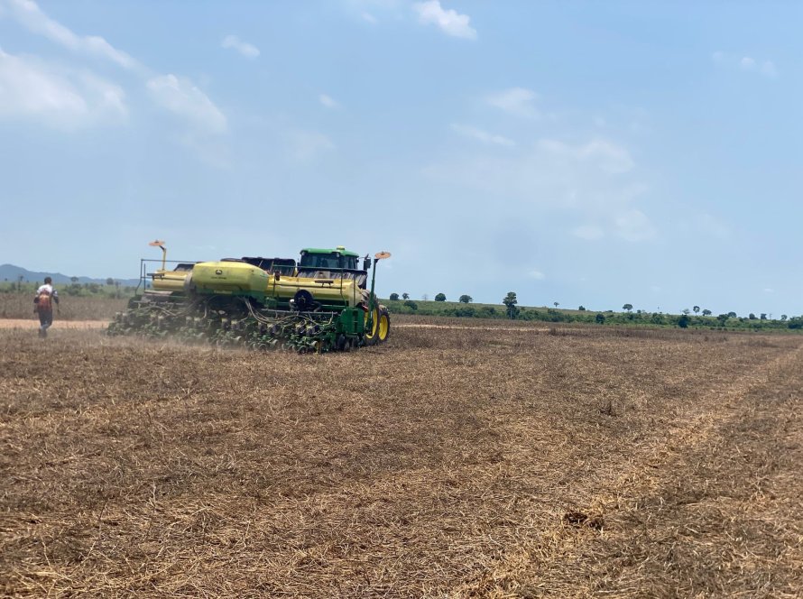 Fazenda de cooperado da Castrolanda alcança 76 sacas por hectare na soja do Tocantins