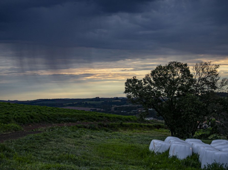 NOAA confirma El Niño e Paraná pode enfrentar excesso de chuva nos próximos meses