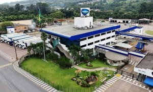 Pamplona amplia exportações de carne suína em 7,33% e atinge 85 mil toneladas no mercado externo