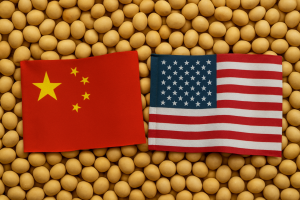 USDA informa novas vendas de soja para a China nesta 5ª feira (17)