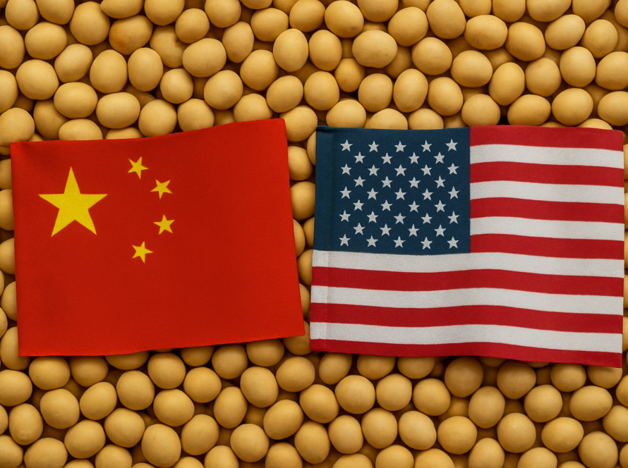 USDA informa novas vendas de soja para a China nesta 5ª feira (17)