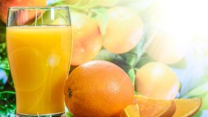 CITROS: Exportações de suco crescem na safra 25/26, mas receita cai