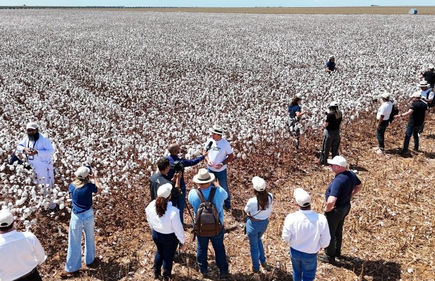 Cotton Brazil Dialogues reúne líderes globais da moda e da cadeia têxtil em imersão pelo algodão brasileiro