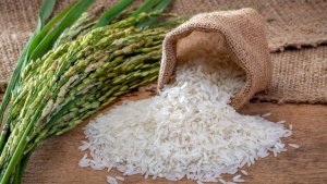 Exportação de arroz sobe, mas receita cai com preço menor