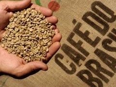 Exportação de café do Brasil pode saltar em 26/27, mas há desafios na qualidade, diz Cecafé