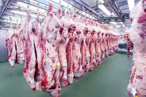 Governo ajusta controles de exportação de carnes para atender exigências contra antimicrobianos da UE